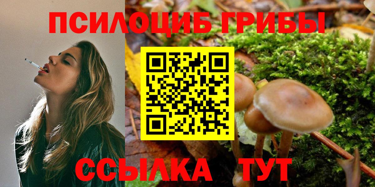 Галлюциногенные грибы мицелий Заводоуковск