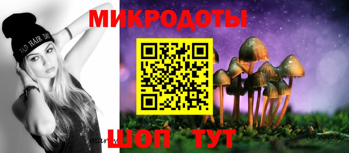 Галлюциногенные грибы GOLDEN TEACHER  Галлюциногенные грибы Magic Shrooms  Вход с VPN  Заводоуковск 